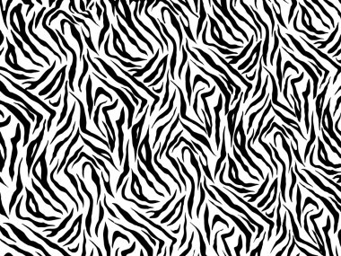 Zebra arka plan siyah ve beyaz renkleri doku