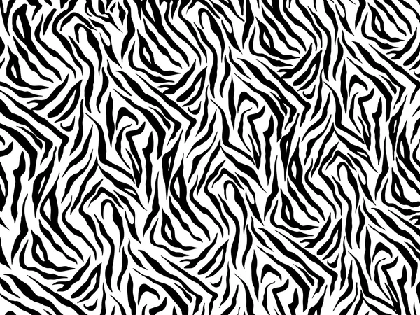 Zèbre texture fond noir et blanc couleurs — Image vectorielle