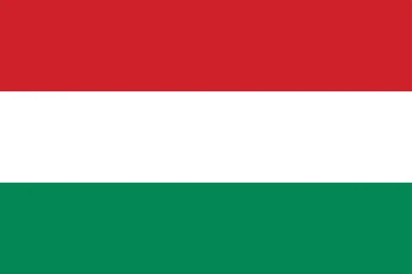 Macaristan bayrağı — Stok Vektör