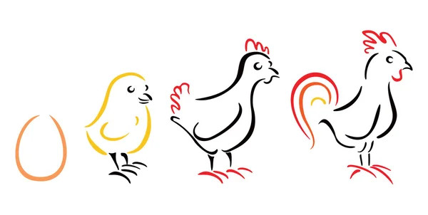 Chicken farm — Stock Vector