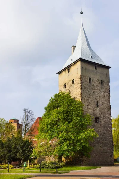 Historic Defensive Tower Zary Poland — Stock Photo, Image