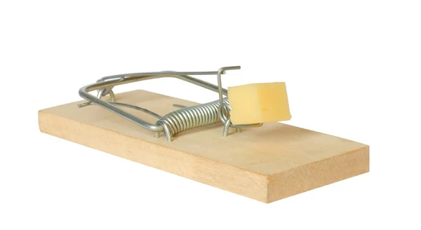 Mousetrap com queijo — Fotografia de Stock