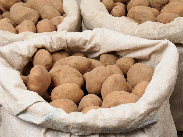 Potatoes — Stock Photo, Image