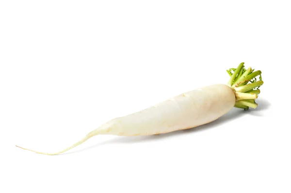 White Radish — Stock Photo, Image