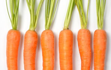 beyaz üzerine havuç