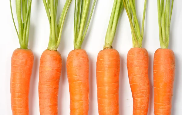 Karotten auf Weiß — Stockfoto