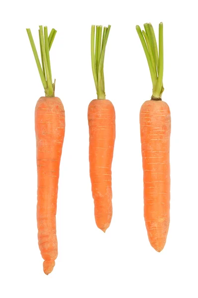 Cenouras em branco — Fotografia de Stock