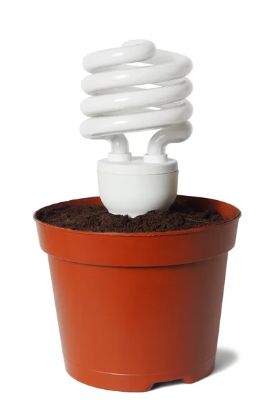 Eco bulb — Stock Photo, Image