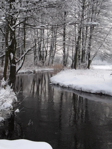 Cenário de inverno — Fotografia de Stock