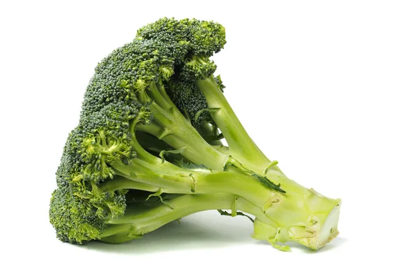 Broccoli på vit — Stockfoto