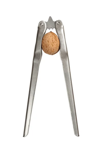 Nut and nutcracker — Stock Photo, Image