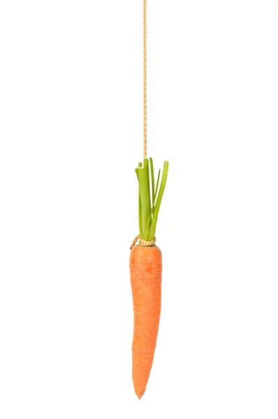 Carrot on String — Stock Photo, Image