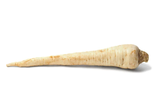 Parsley root on white — Stock Photo, Image