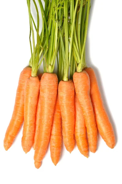 Ramo de zanahorias —  Fotos de Stock