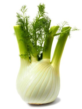 Floransa rezene ampul beyaz