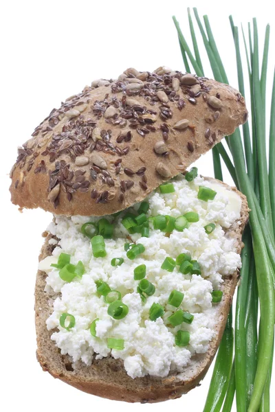 Sandwich with cottage cheese — Stock Photo, Image