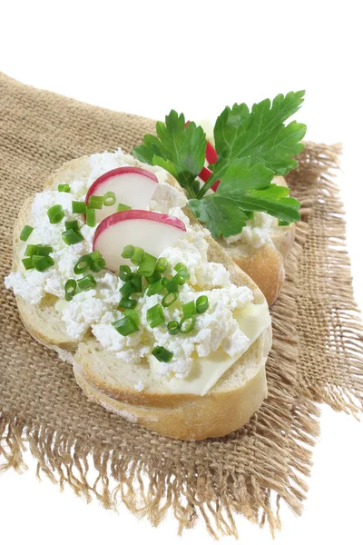 Sandwich with cottage cheese and radish — Stock Photo, Image