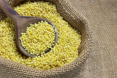 Tuval çuval içinde ham darı