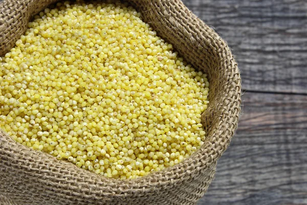 Raw millet in canvas sack — Stock Photo, Image