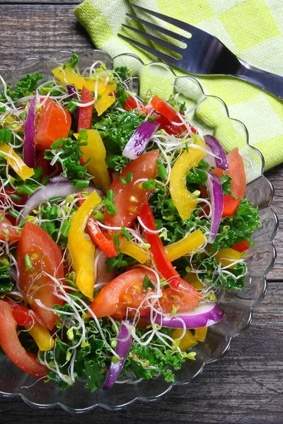Salad with curly kale, paprika, tomato,broccoli sprouts and onions — Stock Photo, Image