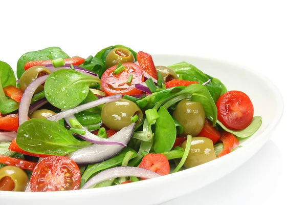 Салат из ягненка, оливки, паприка, помидор и лук — стоковое фото