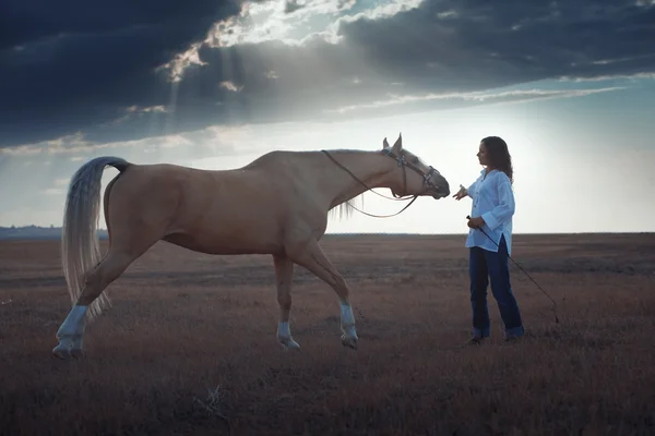 Vrouw en paard — Stockfoto