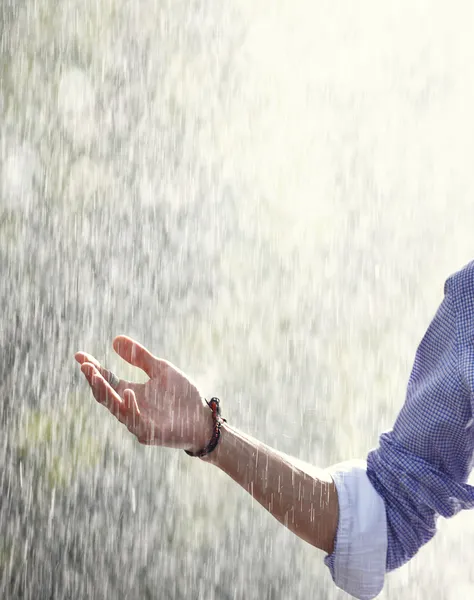 Rain in spring — Stock Photo, Image