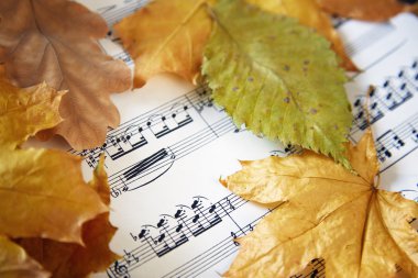 sonbahar gece manzarası