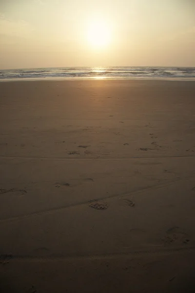 Beach — Stock Photo, Image