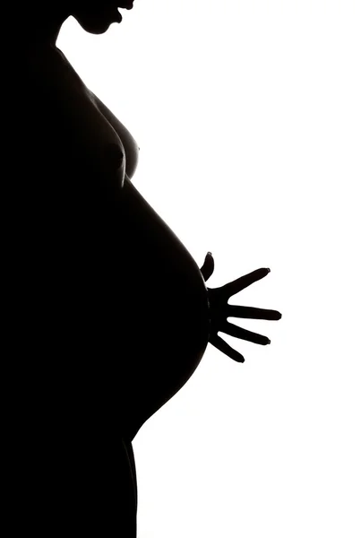 Pregnancy — Stock Photo, Image