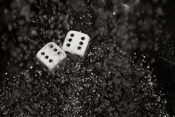 Les dés de jeu sous la pluie — Photo