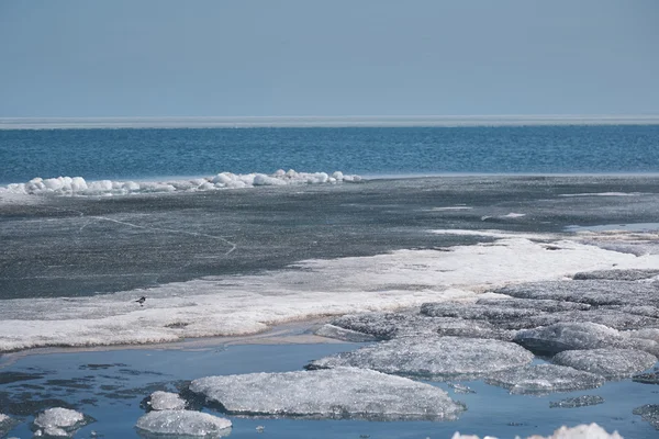 Escena ártica — Foto de Stock