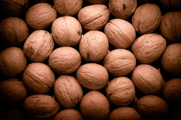 Group of walnuts as background — Stock Photo, Image