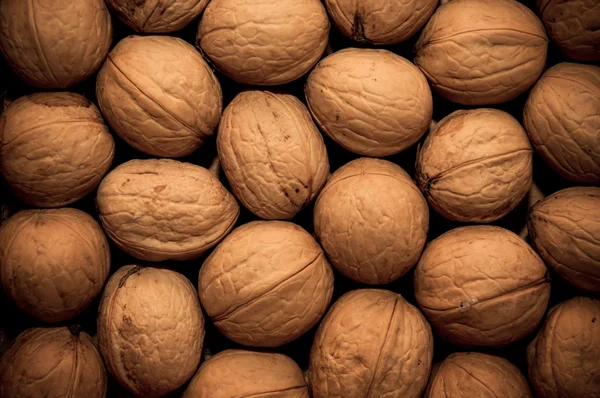 Group of walnuts as background — Stock Photo, Image