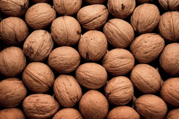 Group of walnuts as background — Stock Photo, Image
