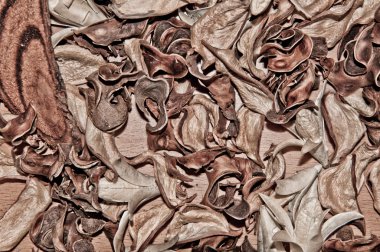 arka plan olarak kullanmak için Kuru yaprakları kadar yakın