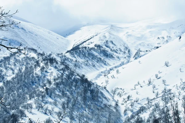 High mountains in Georgia in the winter time — Stock Photo, Image