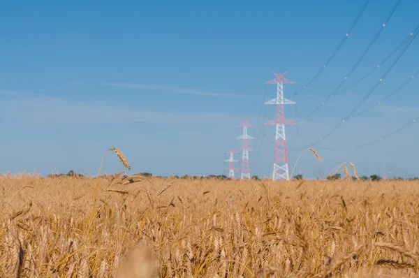 Pylon- och överföringsledning — Stockfoto