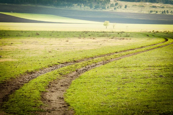 Smutsig väg genom fältet — Stockfoto