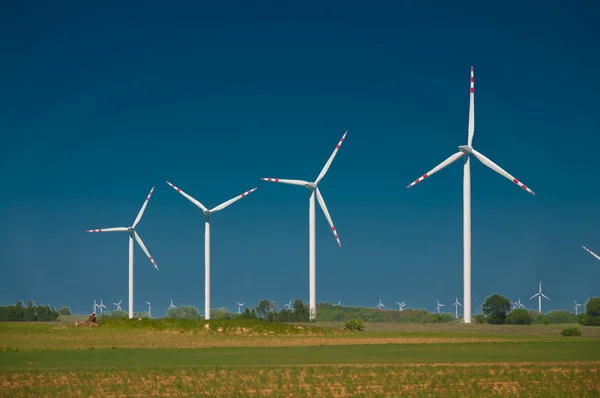 Rüzgar türbinleri elektrik üreten yeşil çayır — Stok fotoğraf