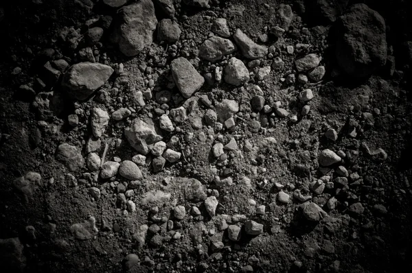 Dry soil and stones of an agricultural field — Stock Photo, Image