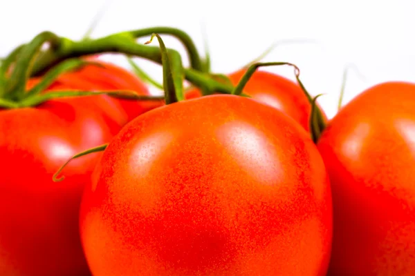 Bunch of ripe fresh red tomatoes — Stock Photo, Image