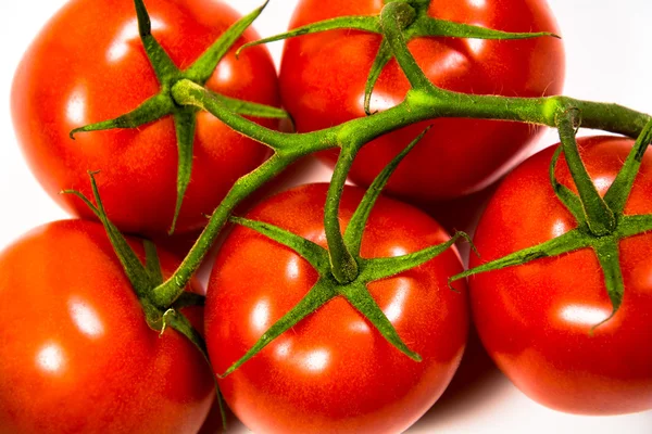 Bunch of ripe fresh red tomatoes — Stock Photo, Image