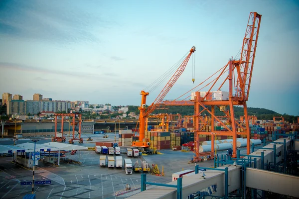 Terminal de contenedores del Báltico en Gdynia, astillero Gdynia. Polonia . — Foto de Stock