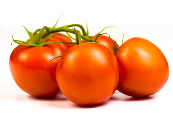 Bunch of ripe fresh red tomatoes — Stock Photo, Image