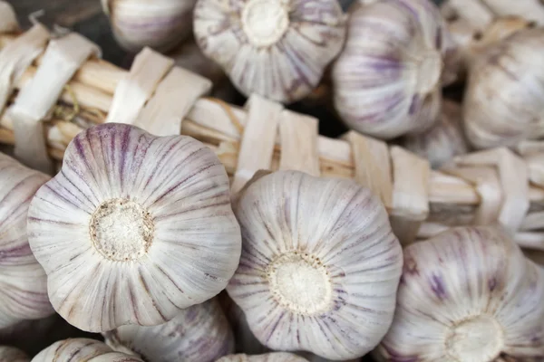 sarımsak