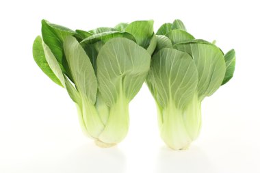 temiz pak choi