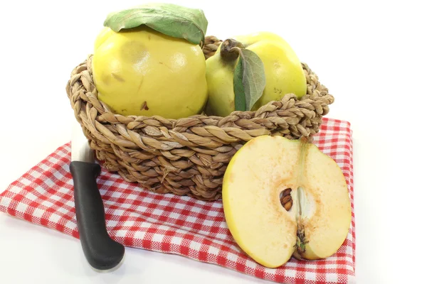 Quinces — Stock Photo, Image