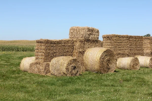 Tractor made of hay — Stock Photo, Image