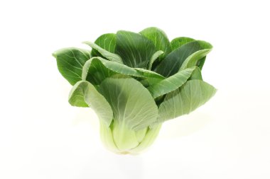 NET pak choi